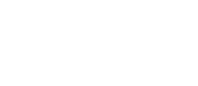 Vizio Event Planning